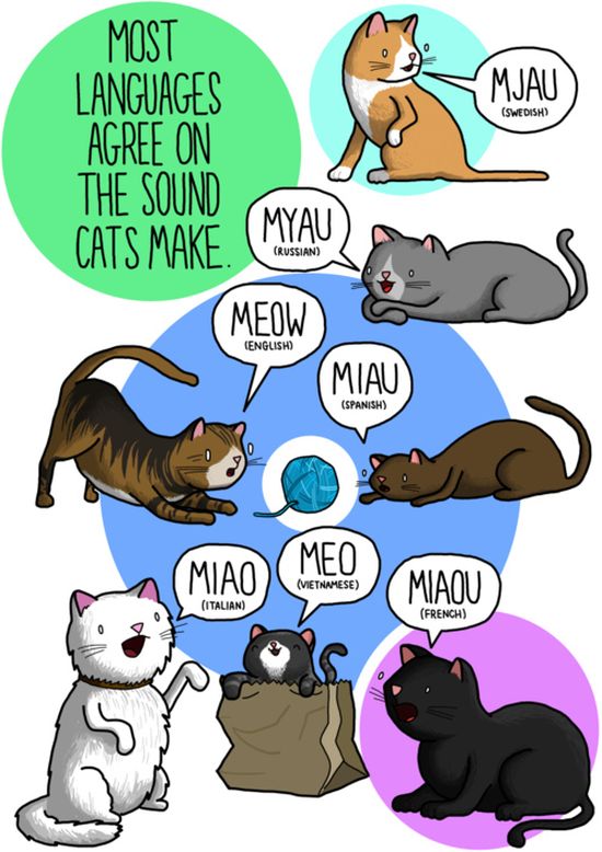 What Noises Animals Make In Other Languages