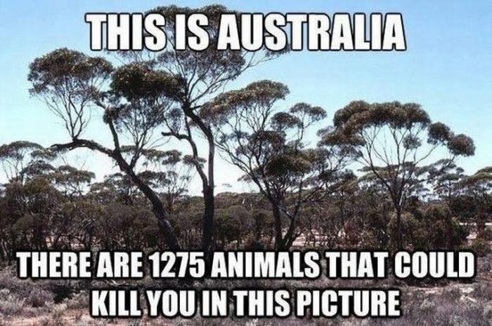 meanwhile-in-australia-2-12.jpg