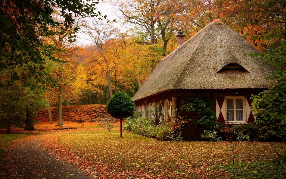 Most beautiful houses in the forest