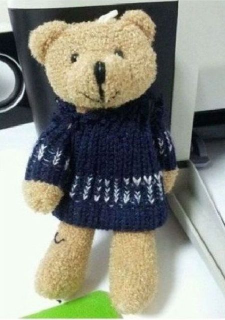 Just a Normal Teddy Bear?
