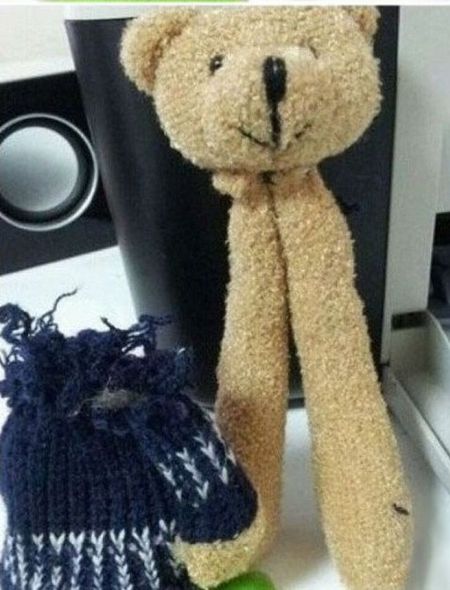 Just a Normal Teddy Bear?
