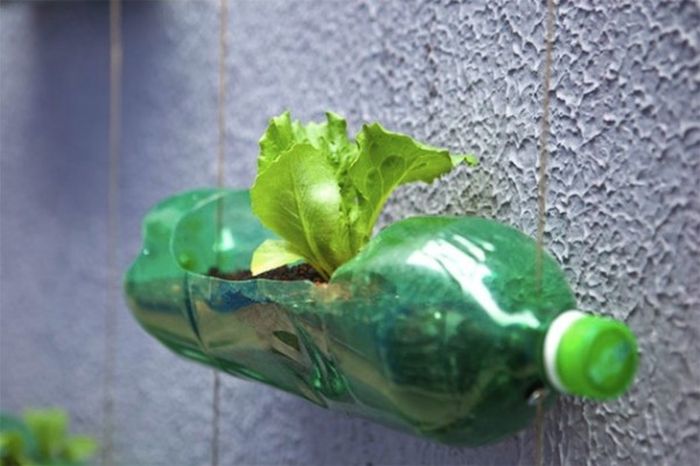 Interesting Way to Recycle PET Bottles