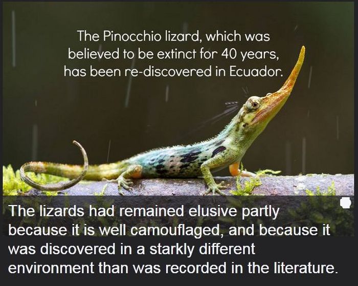 Interesting Science Facts and Photos