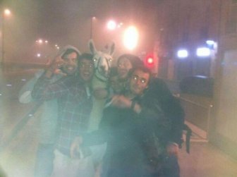 French Teens Partying with a Llama