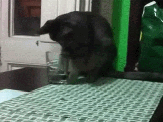 Daily GIFs Mix, part 341
