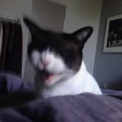 Daily GIFs Mix, part 341