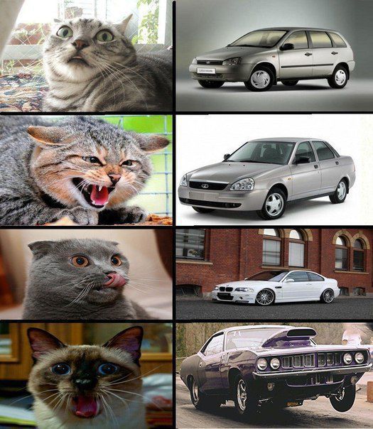 Funny Car-Themed Photos, part 7