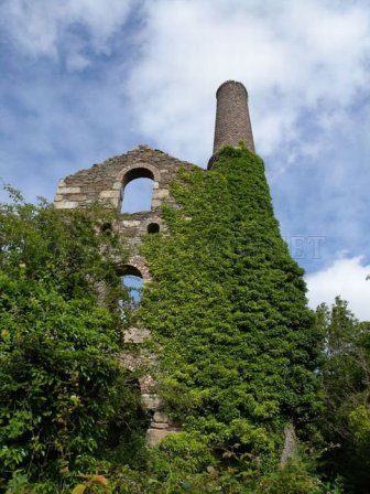 Photos of Ruins 