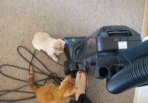 Daily GIFs Mix, part 343