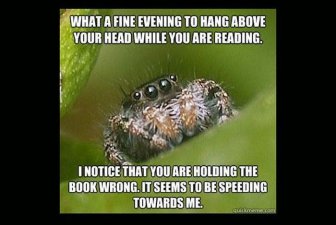 Misunderstood Spider Meme