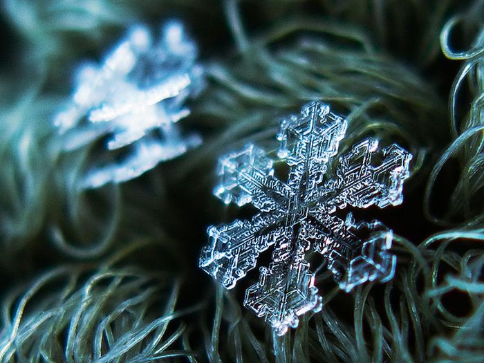 Close-Up Photos of Snowflakes