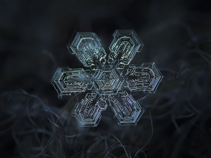 Close-Up Photos of Snowflakes