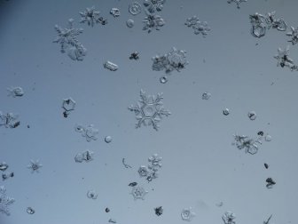 Close-Up Photos of Snowflakes