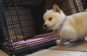 Daily GIFs Mix, part 344