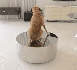 Daily GIFs Mix, part 345