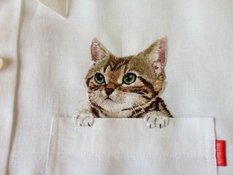 Shirts with Cats