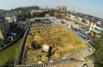 Roof as Farmland