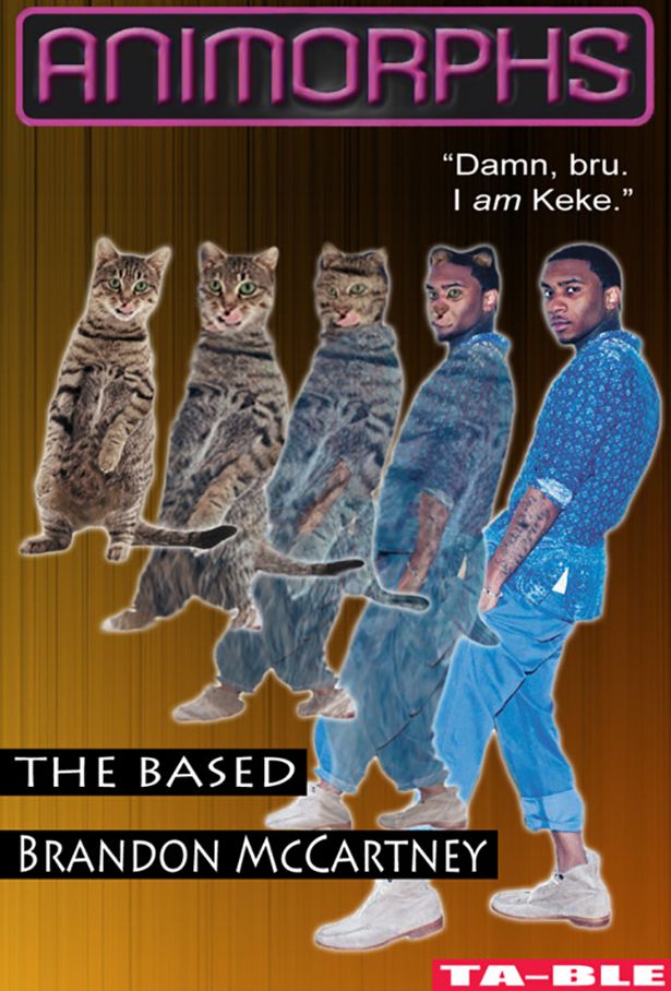 Collection of Celebrity Animorphs