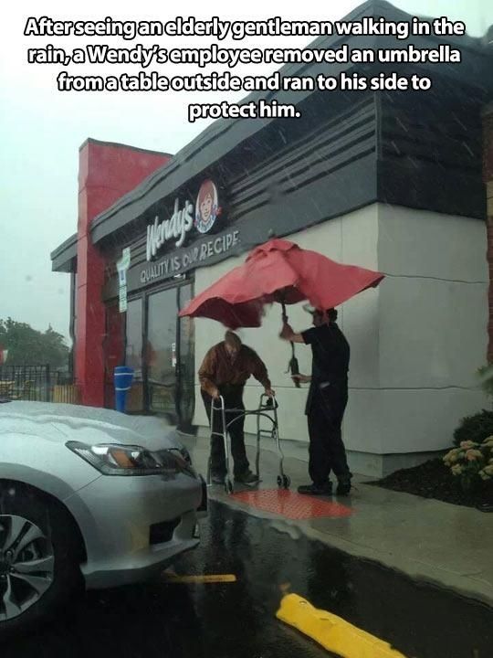 Faith in Humanity Restored Again, part 2