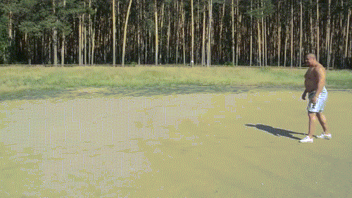 Daily GIFs Mix, part 349