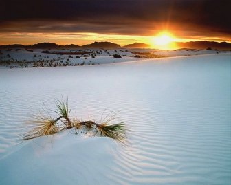 White Sands, New Mexico