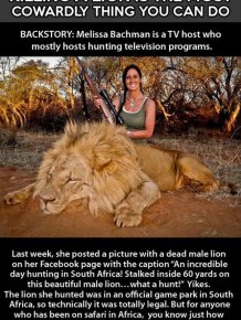 There’s No Sport in Killing Lions