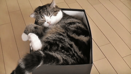 Daily GIFs Mix, part 355