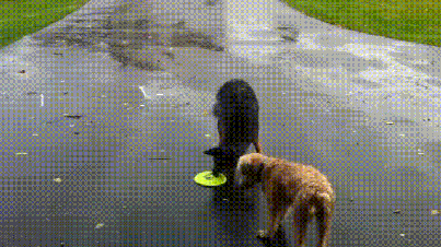 Daily GIFs Mix, part 355