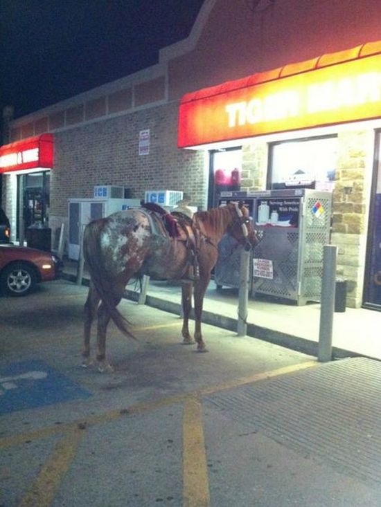 Only in Texas