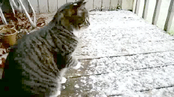 Daily GIFs Mix, part 357