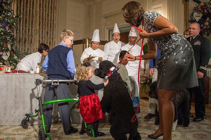Obama's Dog Sunny Knocked Over a Little Girl