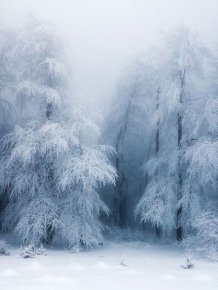 Beautiful Winter Landscapes