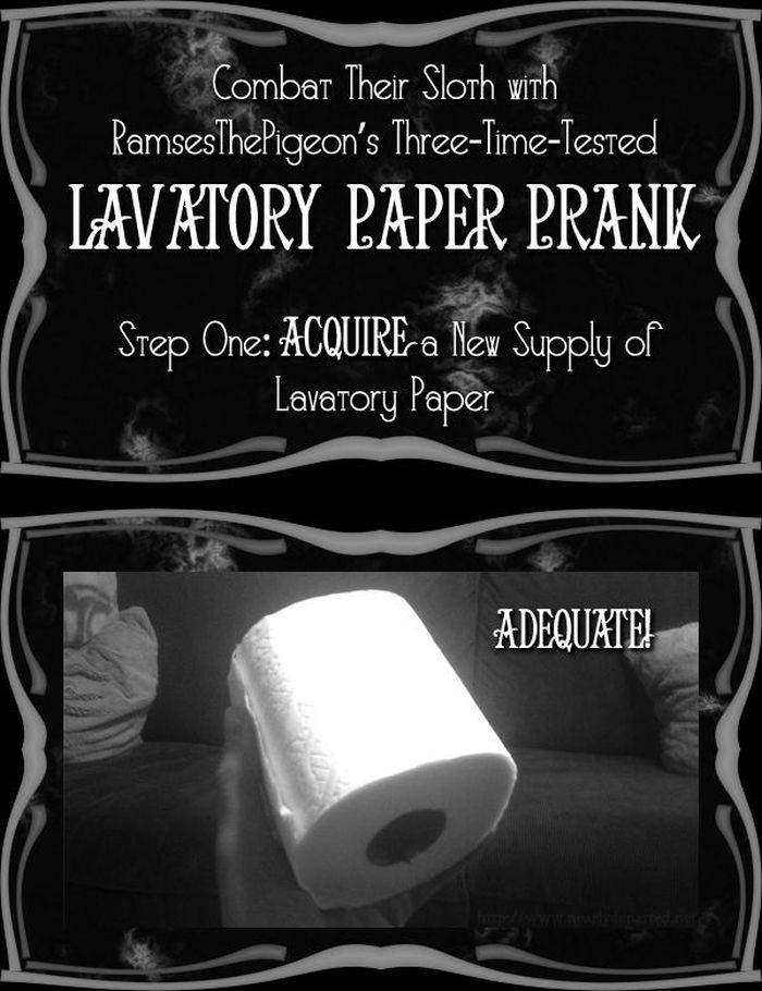 Toilet Paper Prank