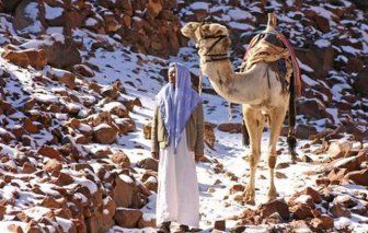 Snow in Egypt