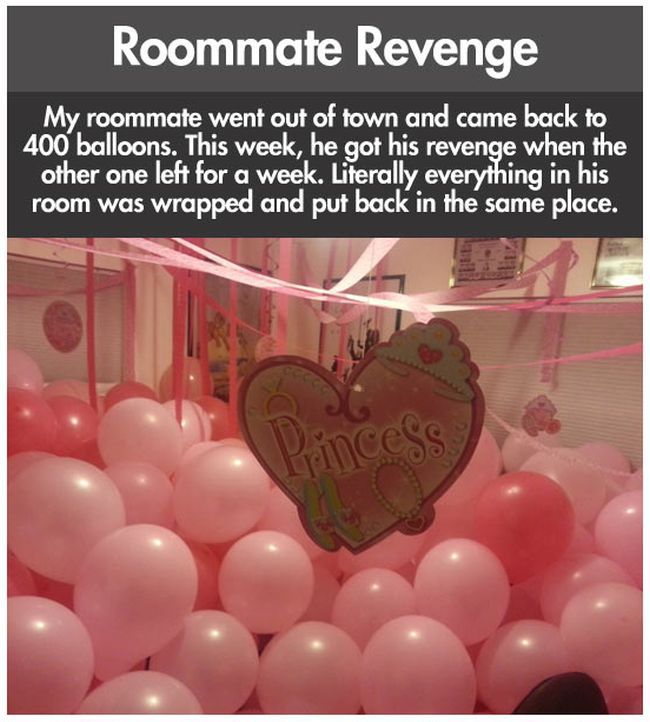 Roommate Revenge