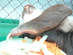 Daily GIFs Mix, part 365