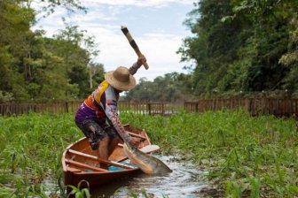 Fishing in Brazil