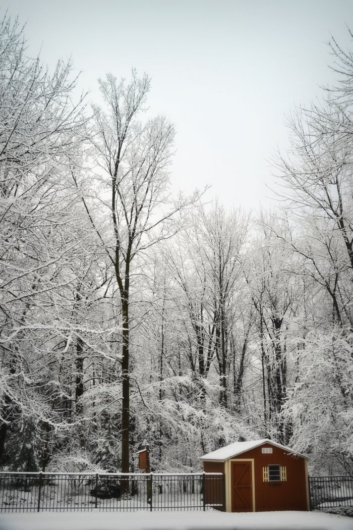 Beautiful Winter , part 2