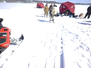 Daily GIFs Mix, part 370