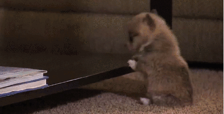 Daily GIFs Mix, part 372
