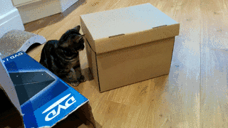 Daily GIFs Mix, part 372