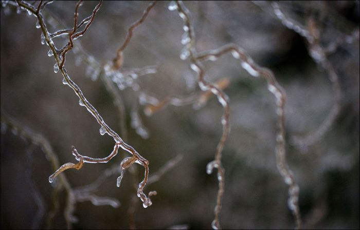 Ice Storm in Canada