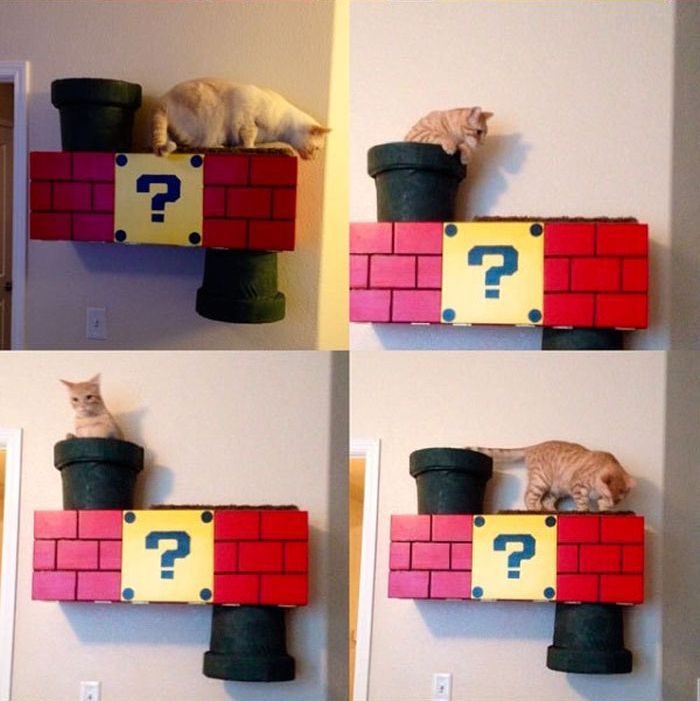 Super Mario Cat Shelf