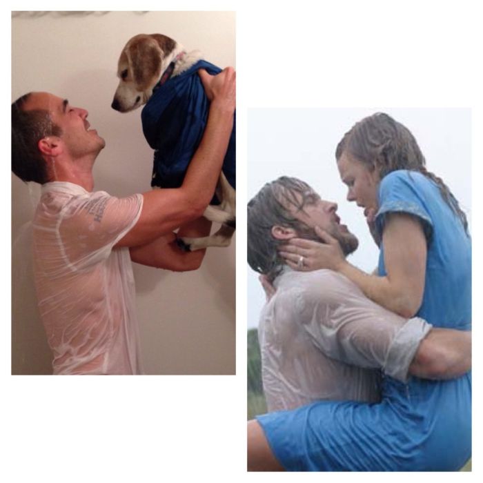 Reenacting Famous Movie Scenes With a Dog