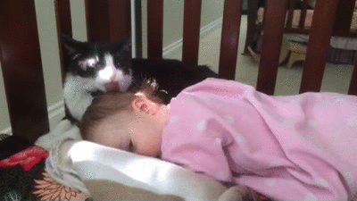 Daily GIFs Mix, part 384