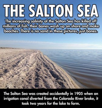 Salton Sea