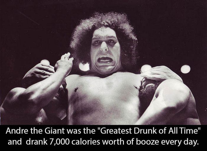 Andre The Giant | Others
