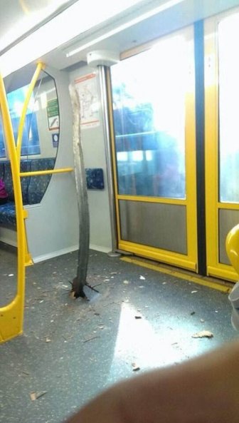 Accident in Australian Subway