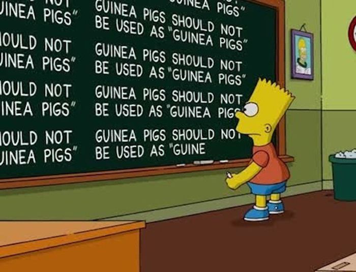 The Funniest Simpsons Chalkboard Gags
