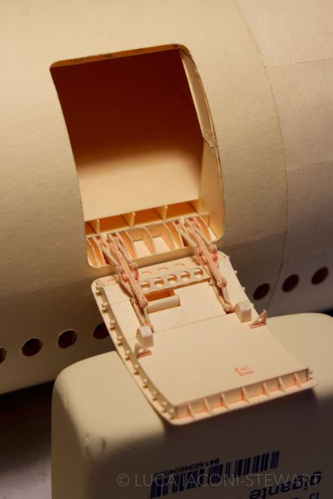 Amazing Paper Plane
